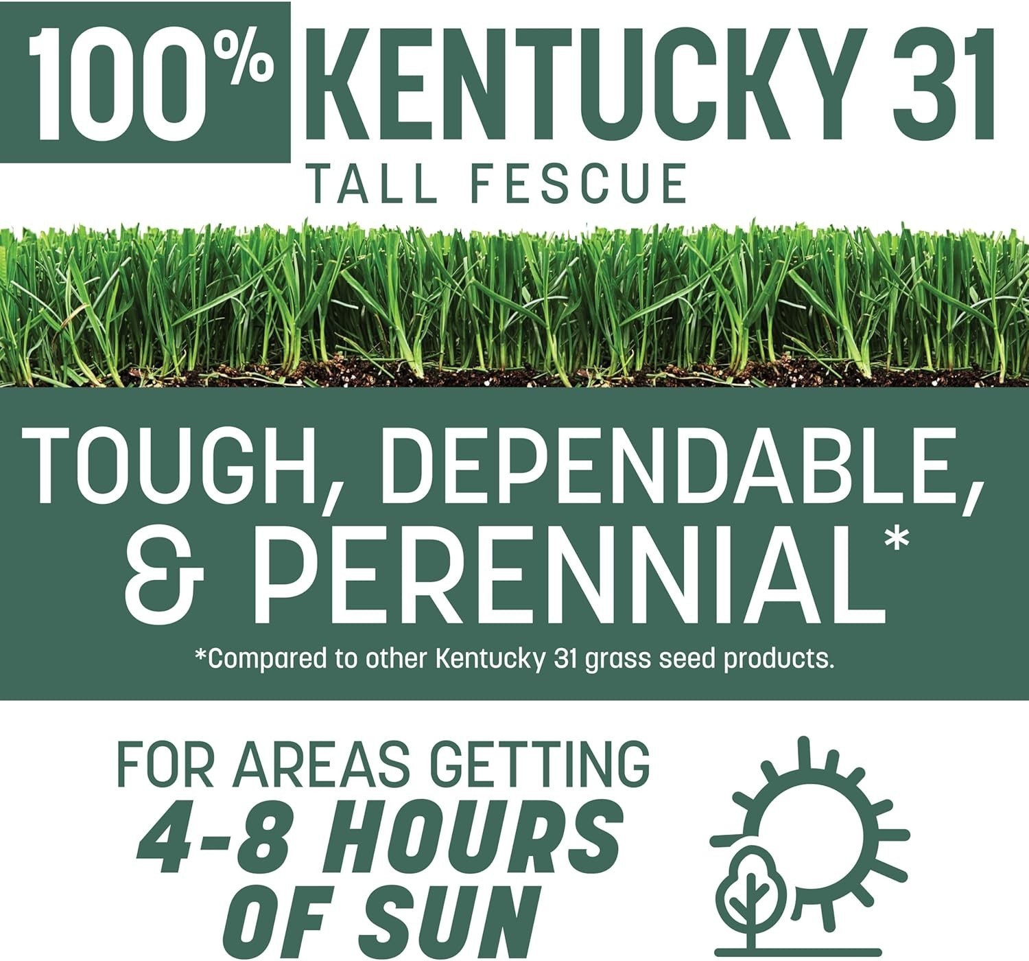 Kentucky 31 Tall Fescue Grass Seed 20 lb for Durable Lawn and Quick Growth