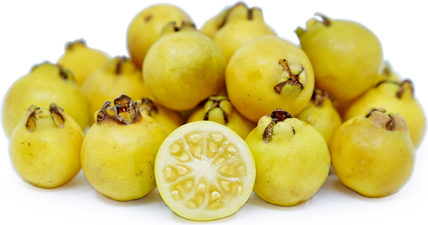 20 Yellow Lemon Guava seeds. The fruit tasted great