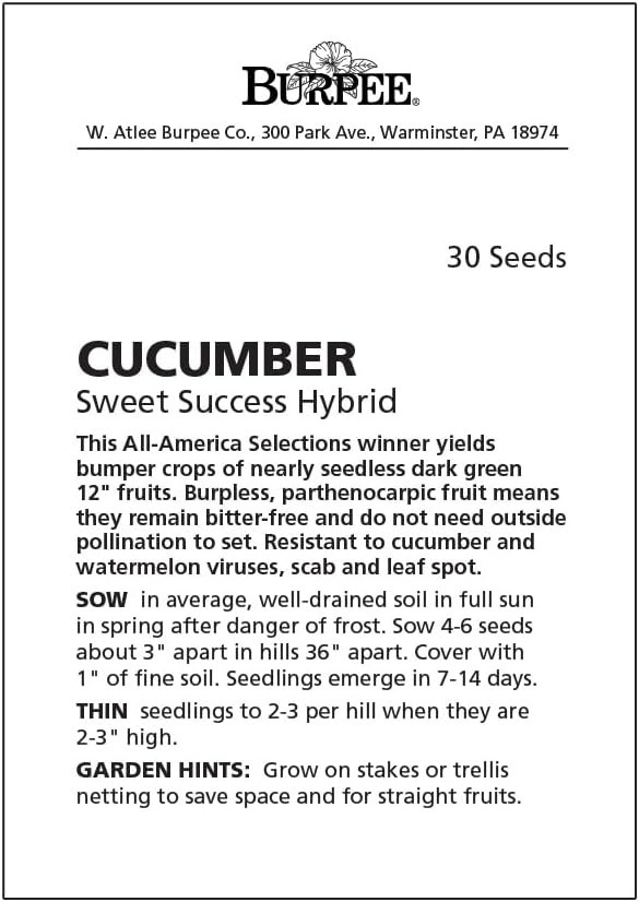 Delicious ‘Sweet Success’ Cucumber Seeds – 20 Non-GMO Seeds for Full Sun Gardens
