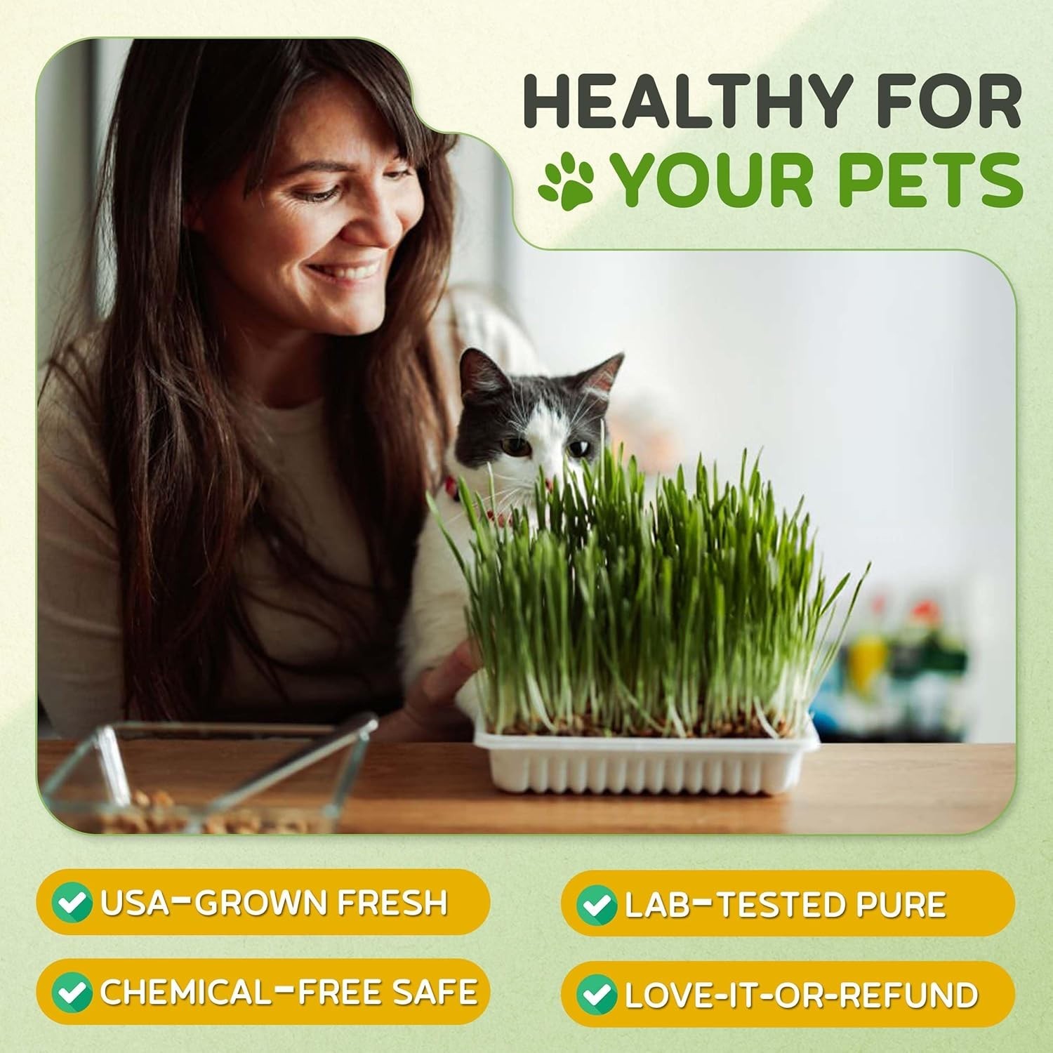 Todd’s 1lb Cat Grass – Easy to Grow, 100% Chemical-Free & Non-GMO for All Breeds