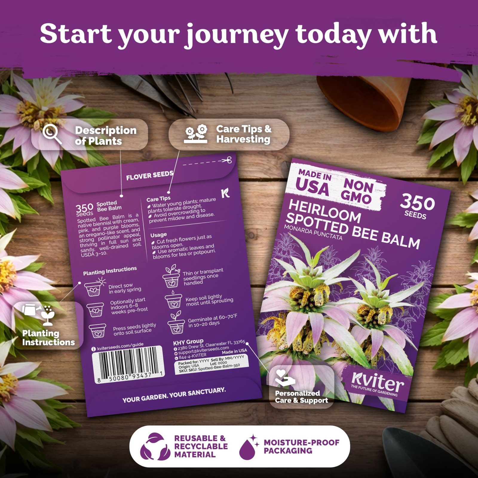KVITER 350 Spotted Bee Balm Seeds (Monarda Punctata)