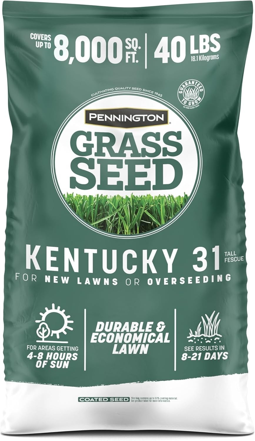 Kentucky 31 Fescue 40 LB Tall Fescue Grass Seed, Grass Seeds for Lawn