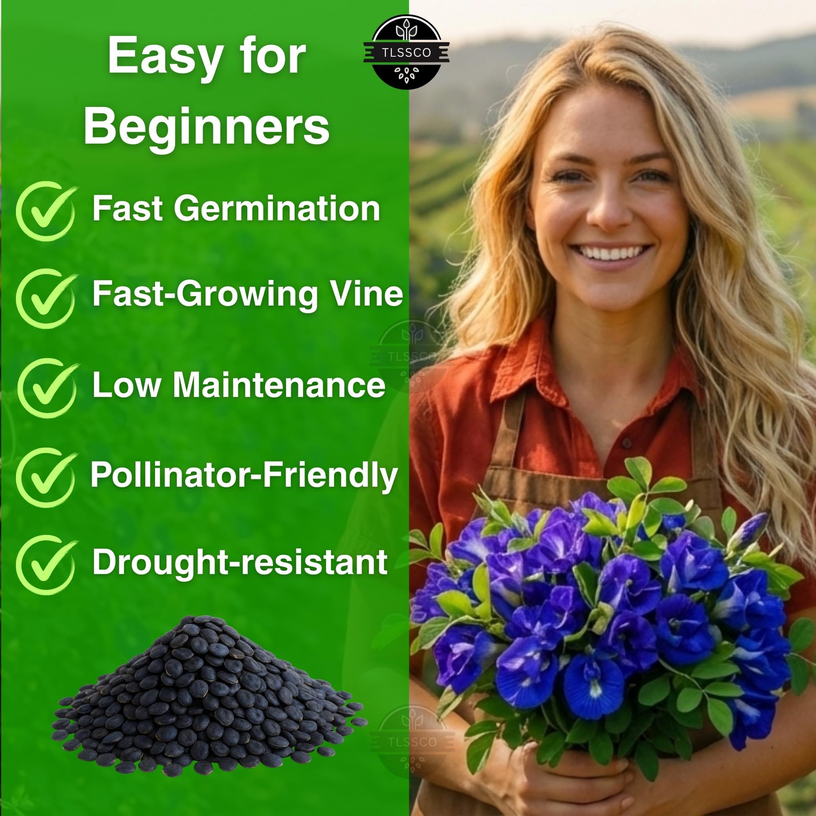 50+ Butterfly Pea Flower Seeds for Planting, Non-GMO Flower Seeds, Blue Butte…