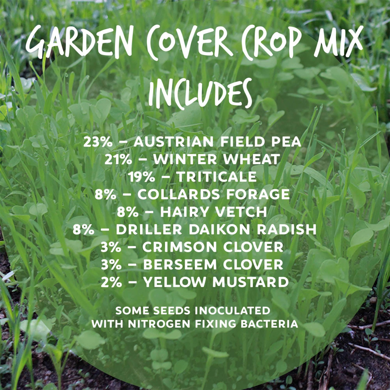 No-Till Garden Farm and Garden Cover Crop Mix Seeds – 5 Lbs – Blend of Garden…