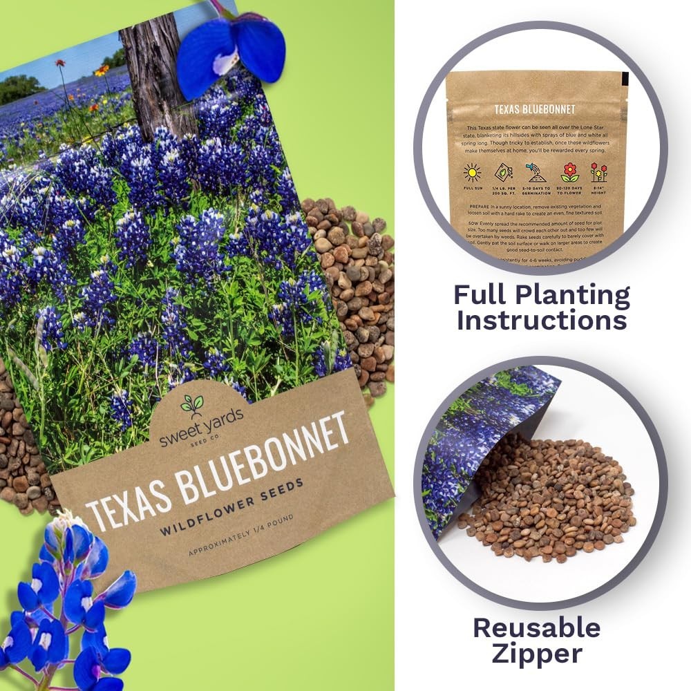 Texas Bluebonnet Wildflower Seeds – 1/4 lb Bulk, 4000+ Native Seeds, State Flowe