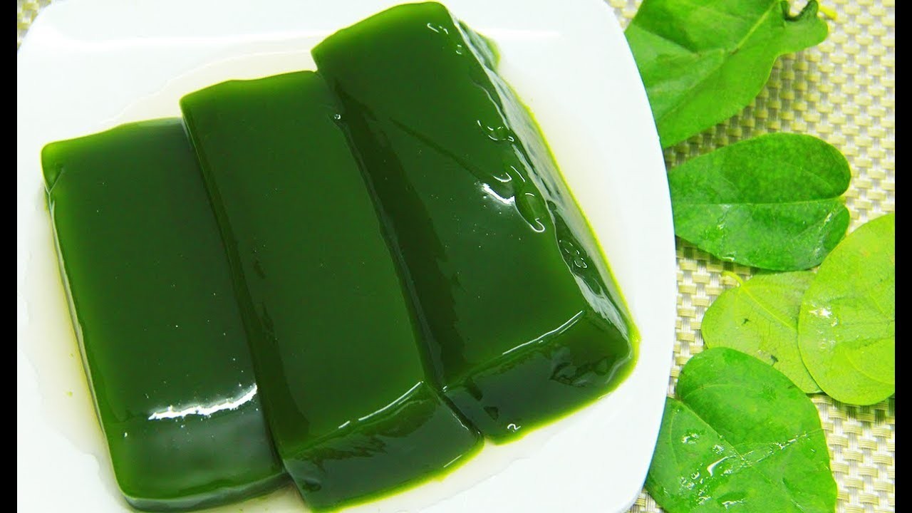 2 Green Grass Jelly Vines – Sương Sâm Plants 12”-17” in One Pot | Rare Tropical
