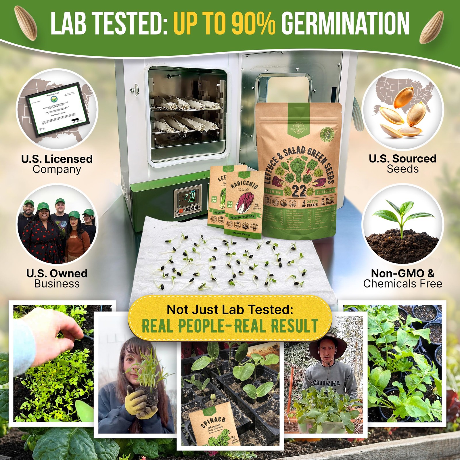 22 Lettuce & Salad Greens Seeds Variety Pack 24,700+ Non-GMO Heirloom Lettuce…
