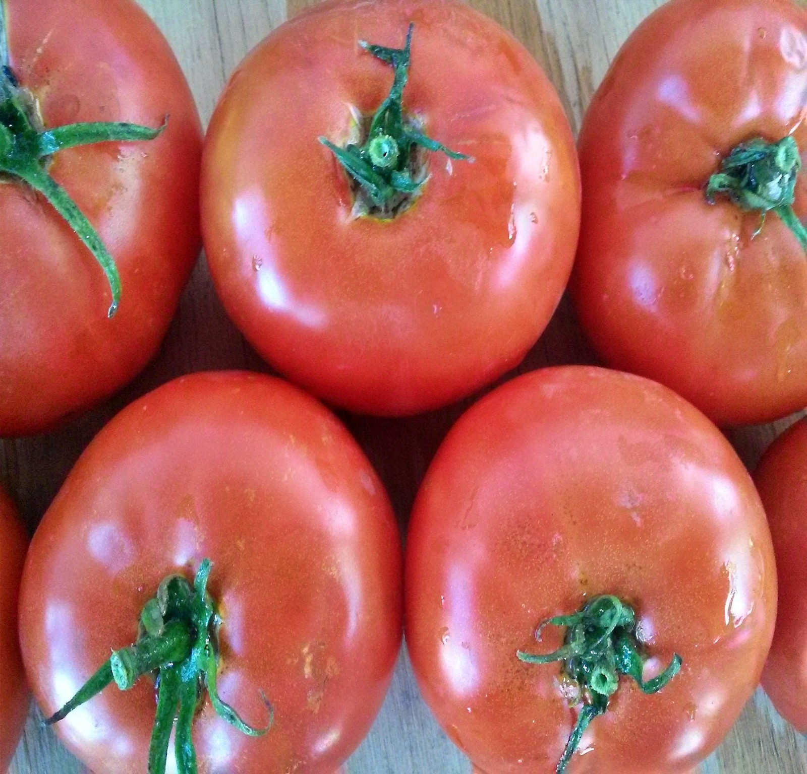 Moscow, Tomato