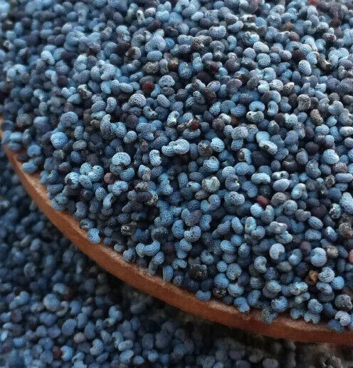 6.2 Grams – 20,000 Fresh Turkish Pap. Somniferum Poppy Seeds – Large Seed Heads
