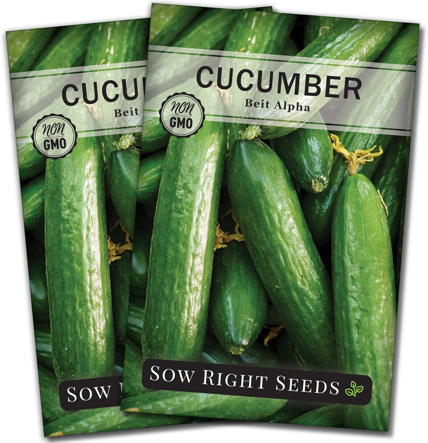– Beit Alpha Cucumber Seeds for Planting – Non-Gmo Heirloom Packet with Instruct