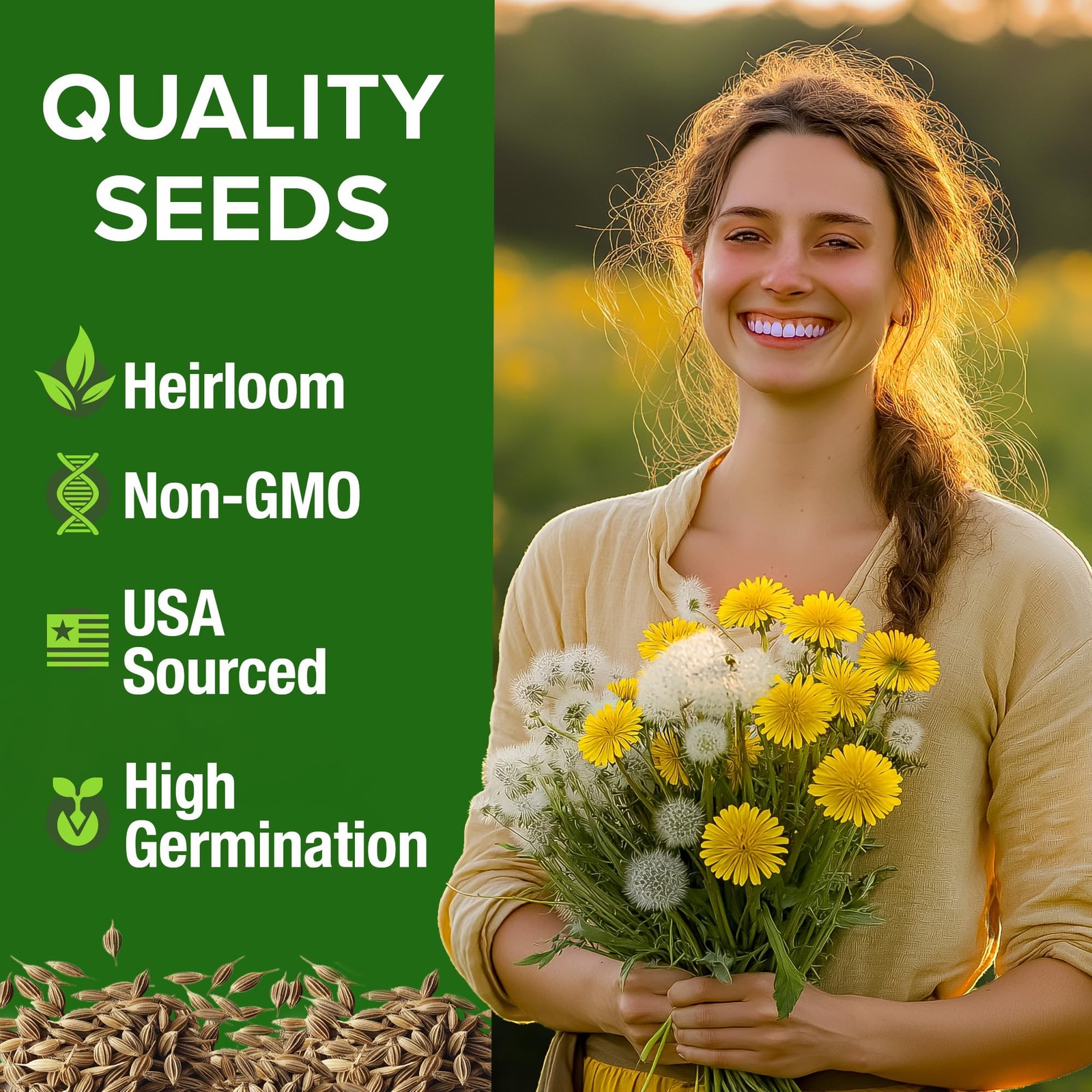 Dandelion Seeds for Planting 600 Heirloom Medicinal Herb Seeds Non GMO Grow E…