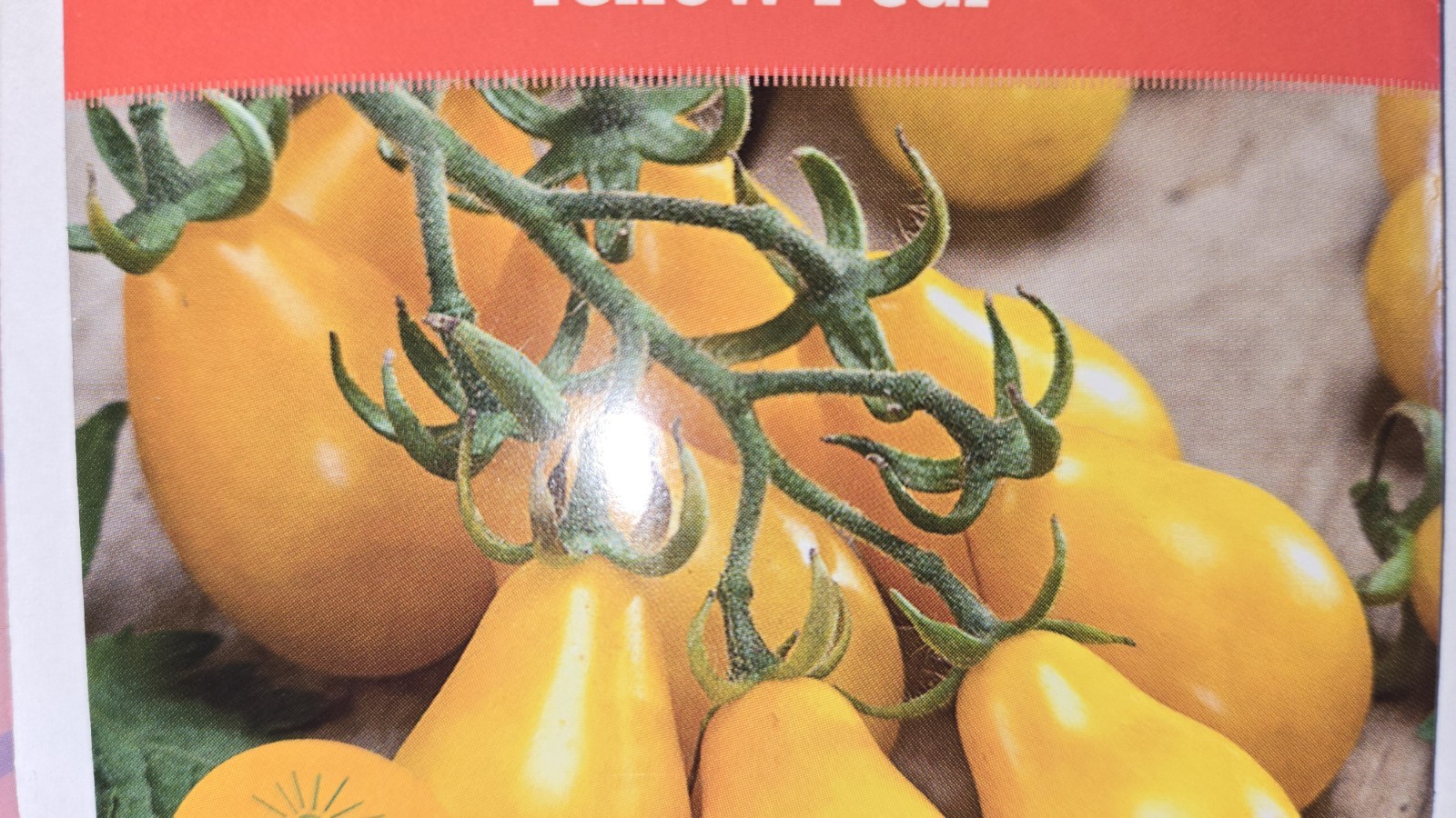 50 Seeds Yellow Pear Tomato NON-GMO Heirloom Sweet & Juicy