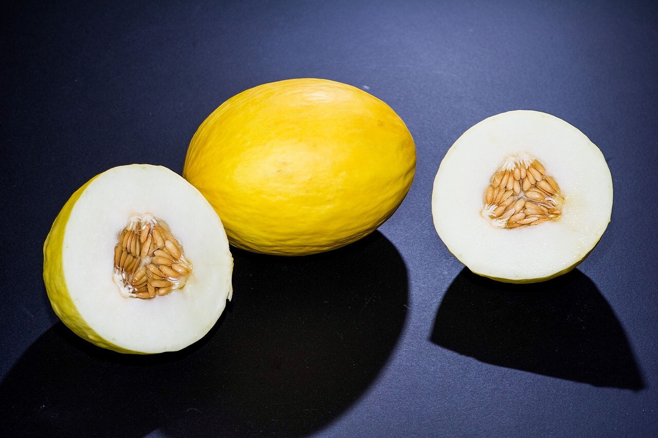 100 Canary Melon Seeds Cucumis melo Non-GMO Free Shipping