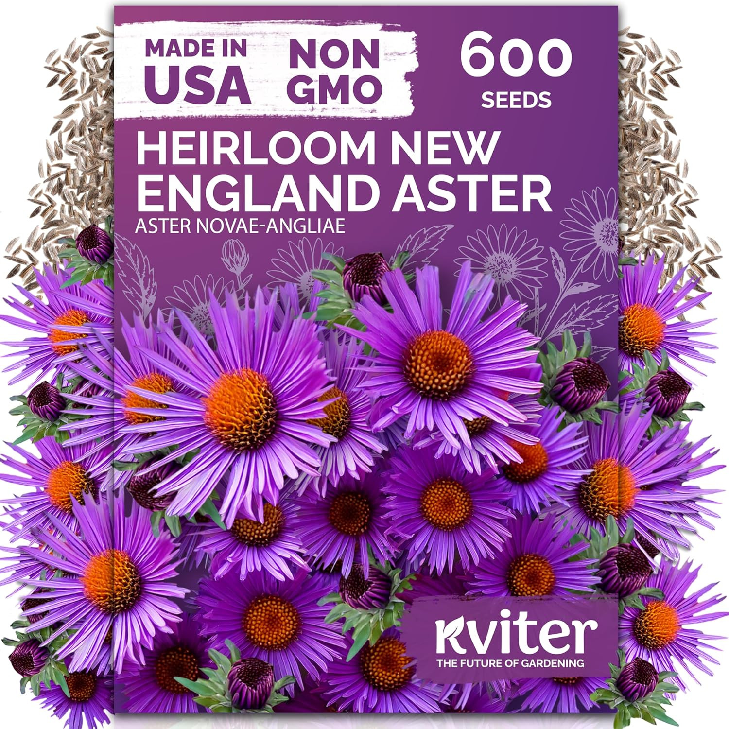 20,000 Creeping Thyme Seeds (Thymus Serpyllum) – Wild Thyme, Aromatic Ground Cov