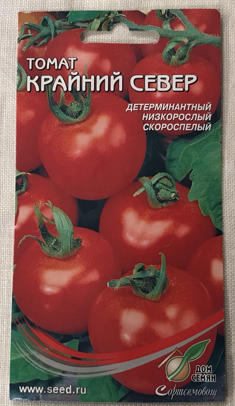 Far North Russian Heirloom Tomato Premium Seed Packet Rare Non GMO-Крайний Север