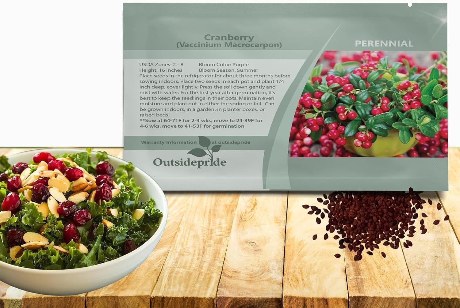 Vibrant 250 Cranberry Seeds – Easy-to-Grow Berries for Indoor & Outdoor Planting