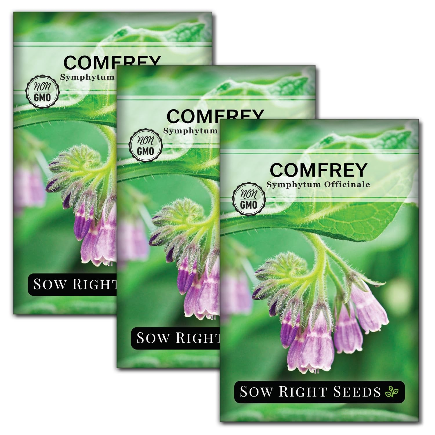 Comfrey Seeds for Planting NonGMO Heirloom HighYield for Gardens & Remedies