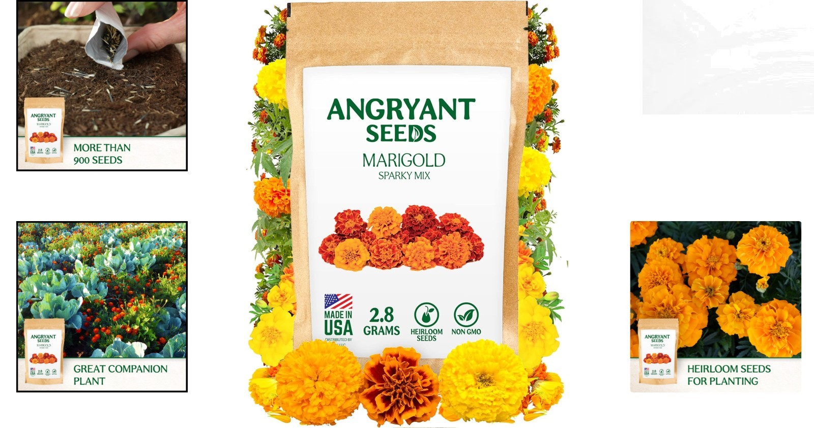 Marigold Sparky Mix Seeds – 999+ Heirloom Non-GMO Flower Seeds for -Round Blooms