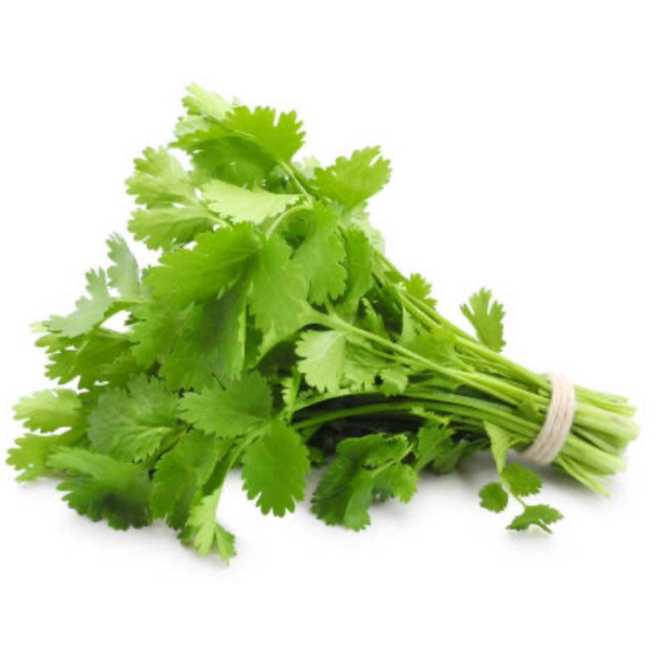 Cilantro/Coriander, 75+ Seeds. Organic~FREE S/H