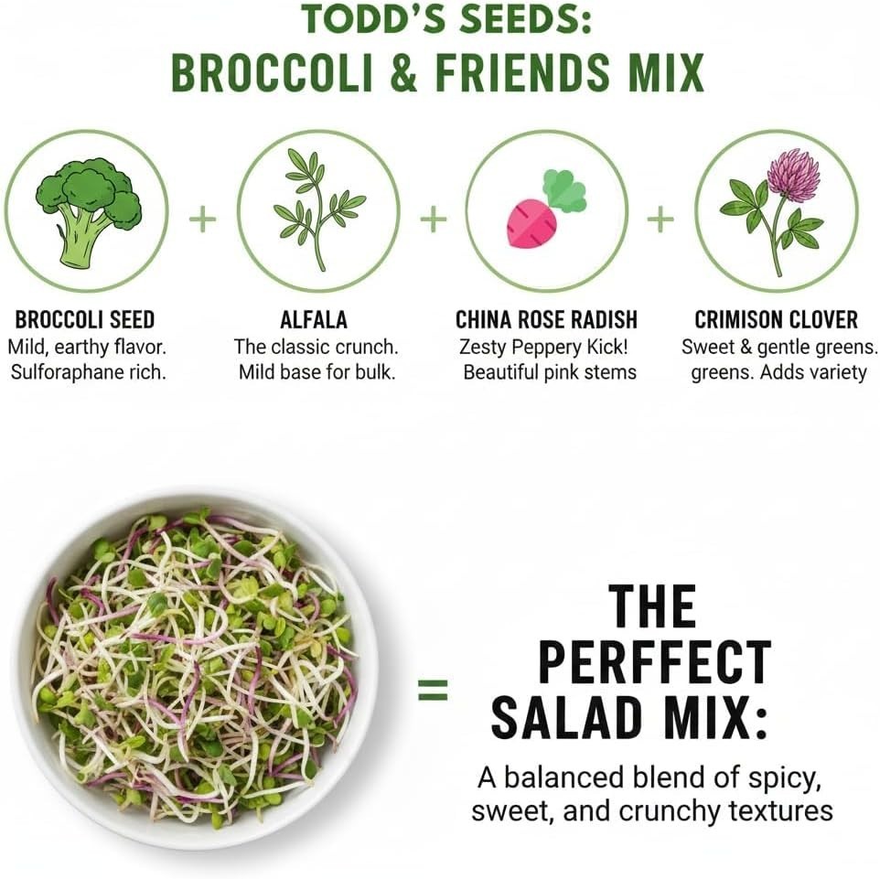 1lb Broccoli Sprouting Seeds Mix Non-GMO – Chemical Free Microgreens Jar Bulk