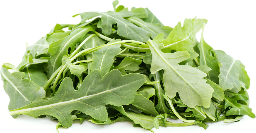 500+ Arugula Lettuce Seeds | Non-GMO Garden Seeds USA Free Shipping