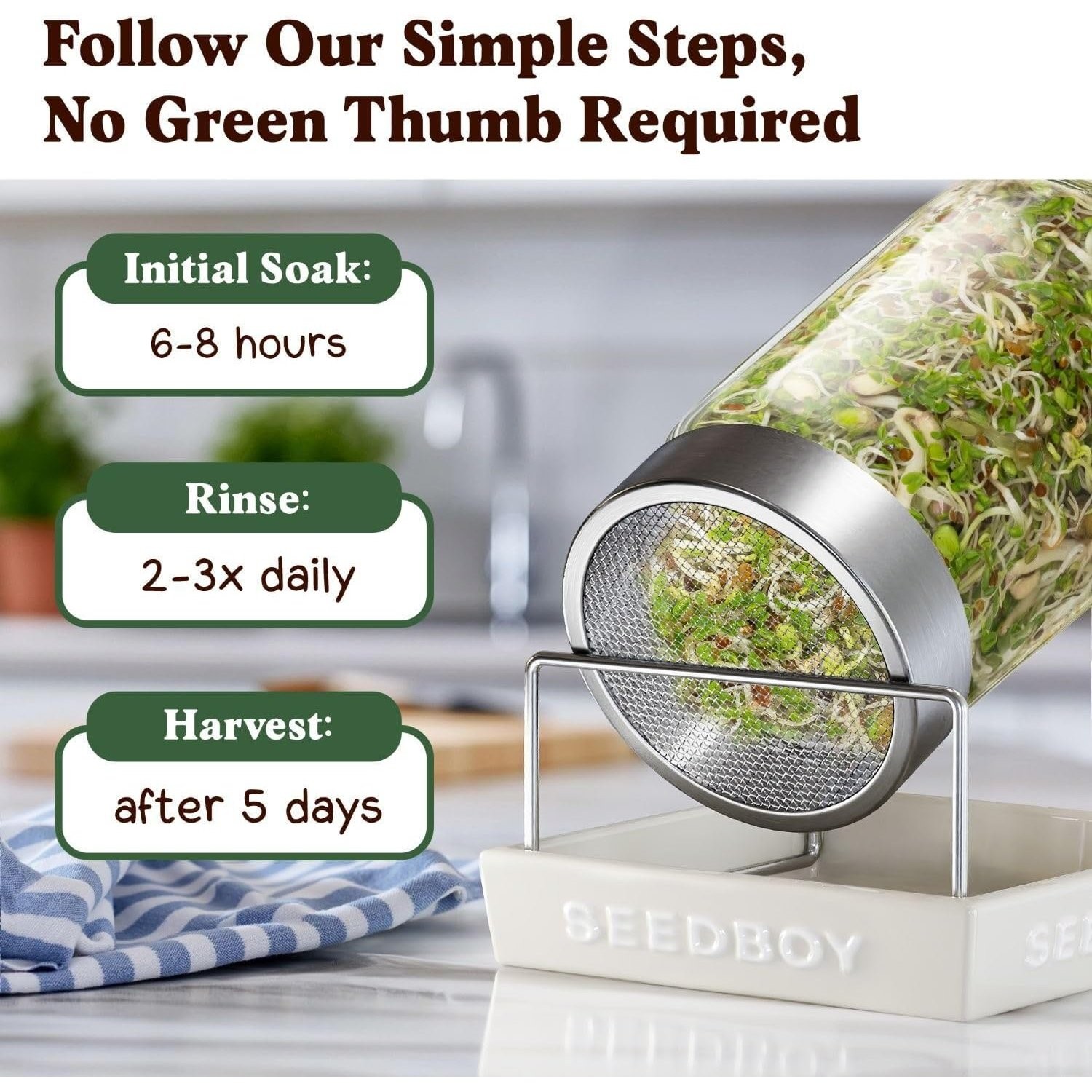 Grow Organic Microgreens Salad Blend Seeds – Alfalfa, Broccoli, Radish Mix