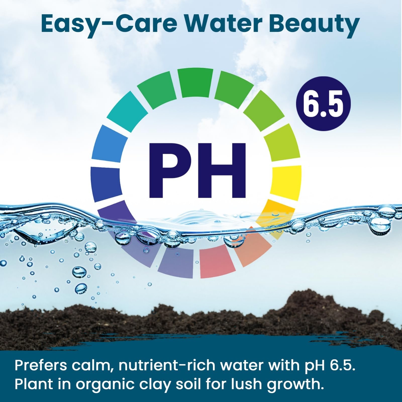 Mixed Bowl Lotus Seeds for Planting in Water – 160 PCS Water Lily & Pond Plants,