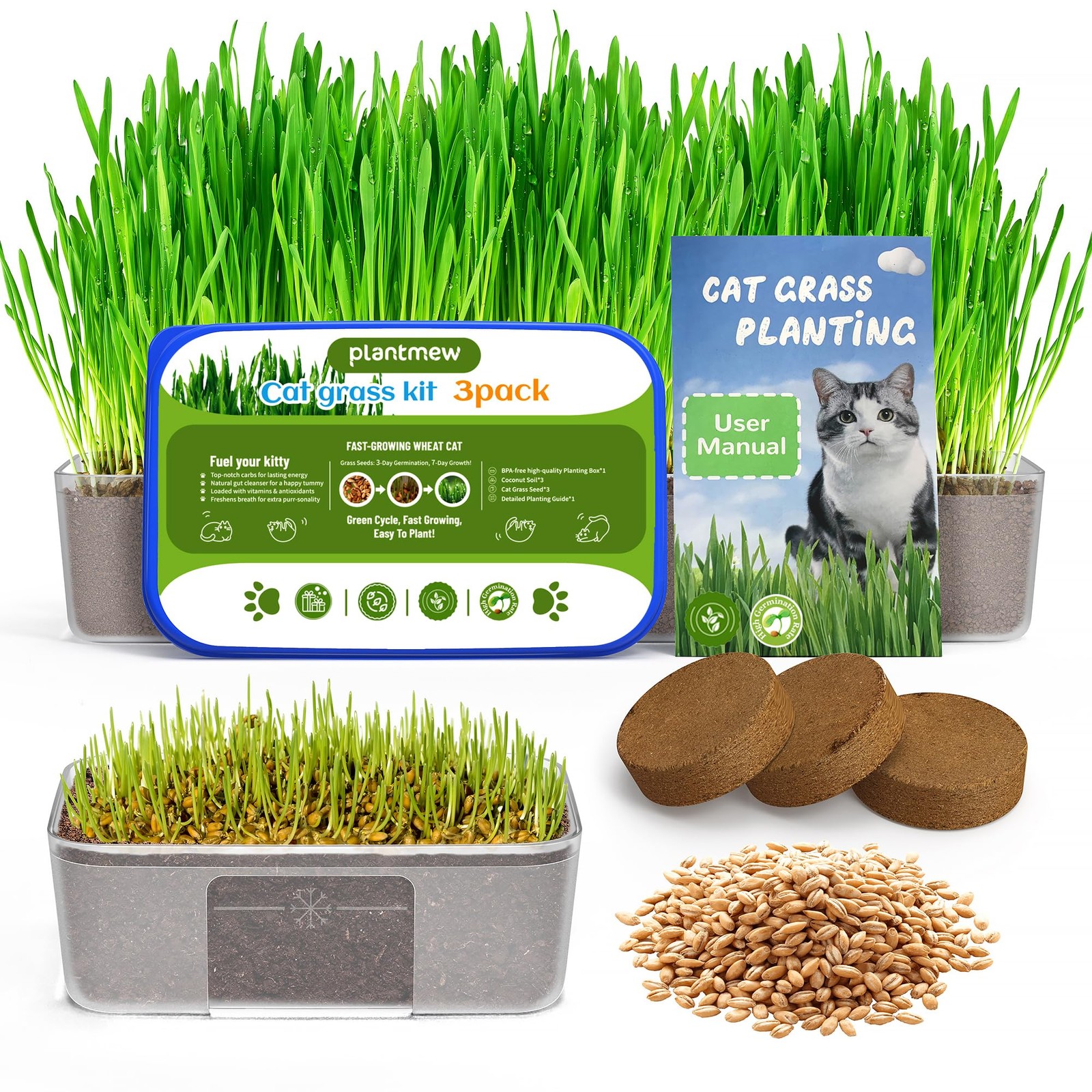 Indoor Cat Grass Growing Kit Fast Harvest, Wheat Seeds, BPAFree Planter 3