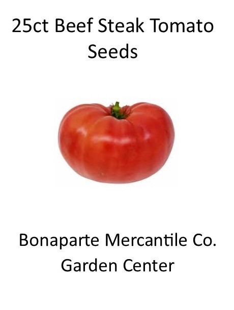 25 ct + Beef Steak Tomato Seeds Heirloom Non-GMO