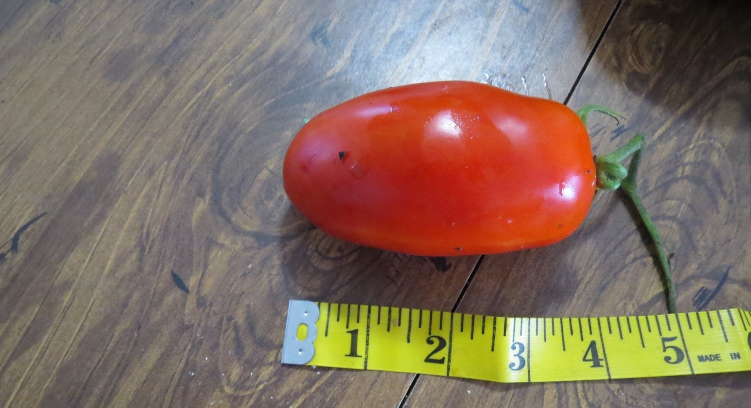 MPB#6 Tomato Seeds La Roma III Hybrid Tomato Seeds Pick 25 To 250 Seeds