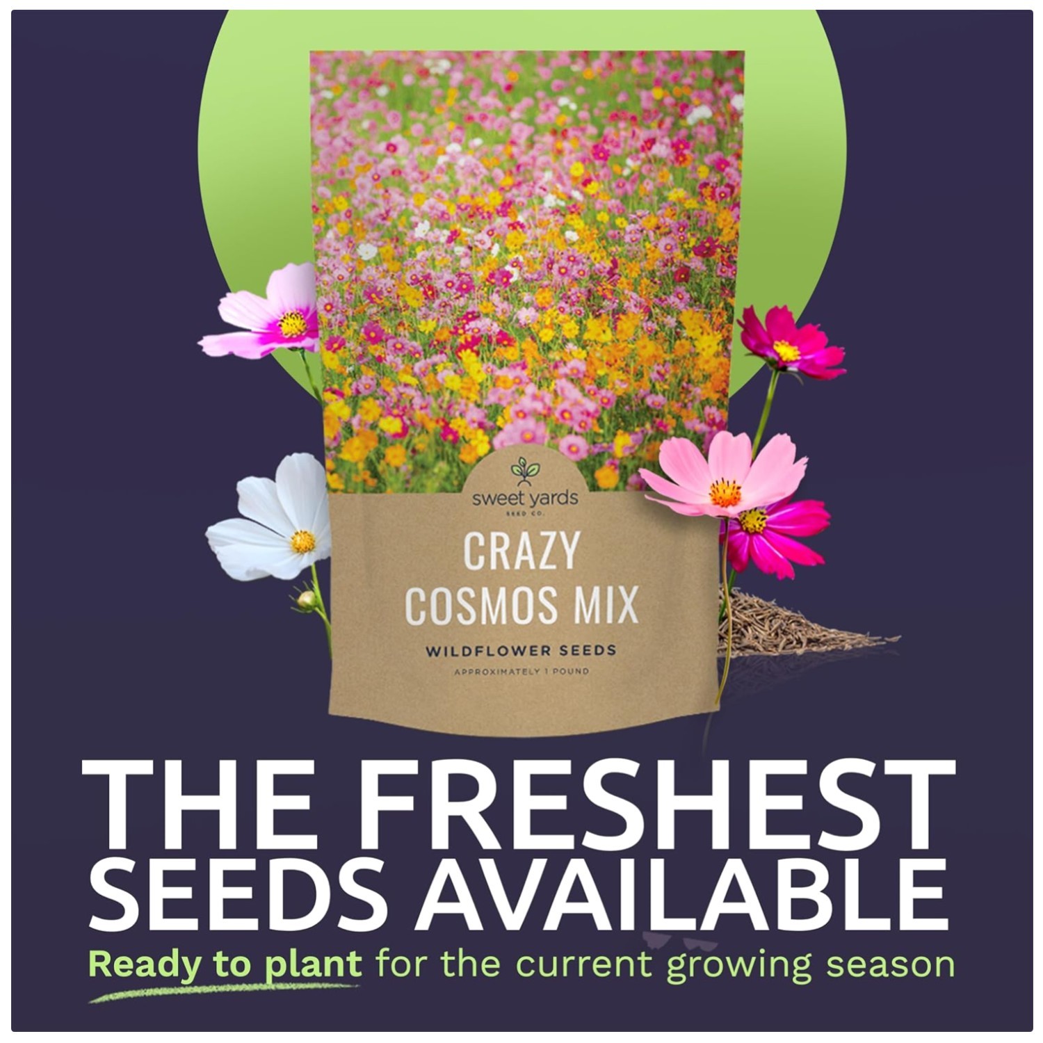 Cosmos Wildflower Mix – 1 lb Bag – 80,000 Seeds