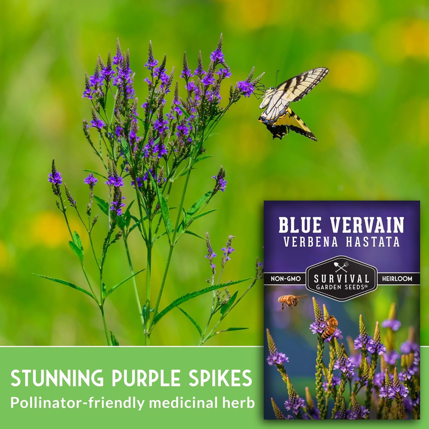 Survival Garden Seeds Blue Vervain Seeds for Planting (Verbena Hastata) | North