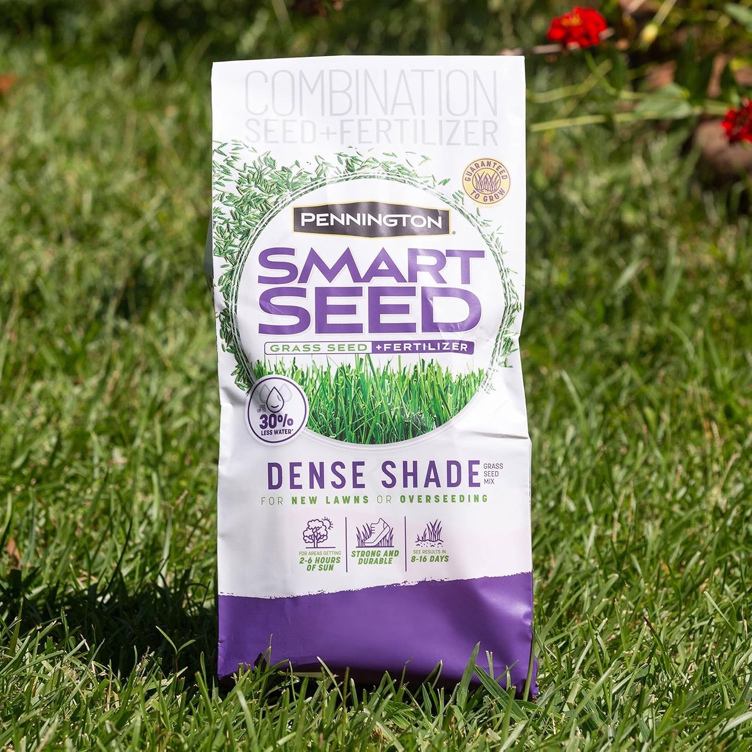 Grass Seed for Shade 7 lb Mix Tall Fine Fescue Low Light Drought Resistant Lawn