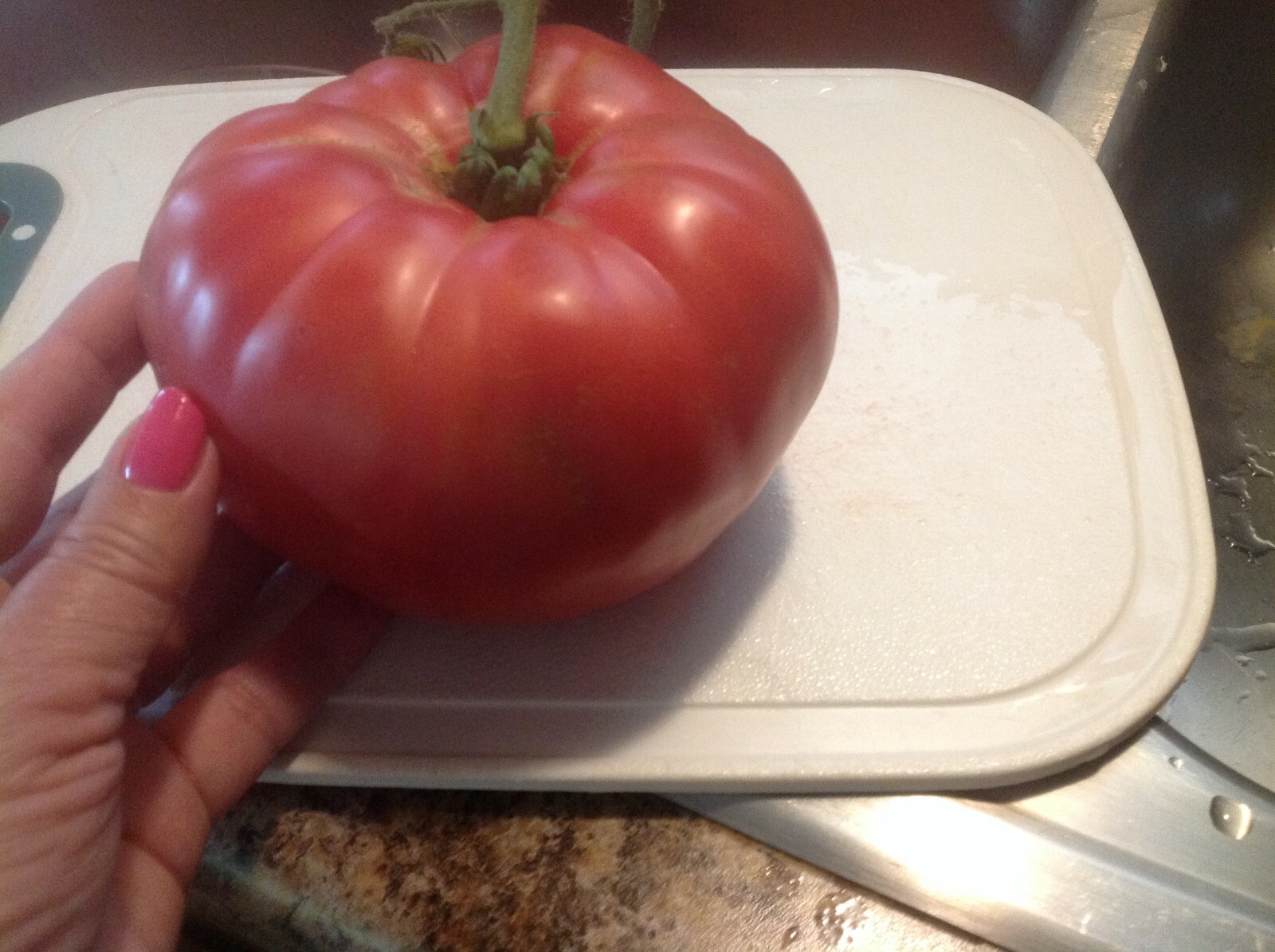 HUGE JUMBO Heirloom Tomato Seeds – Awesome Polish Beefsteak USA 25+ ct seeds