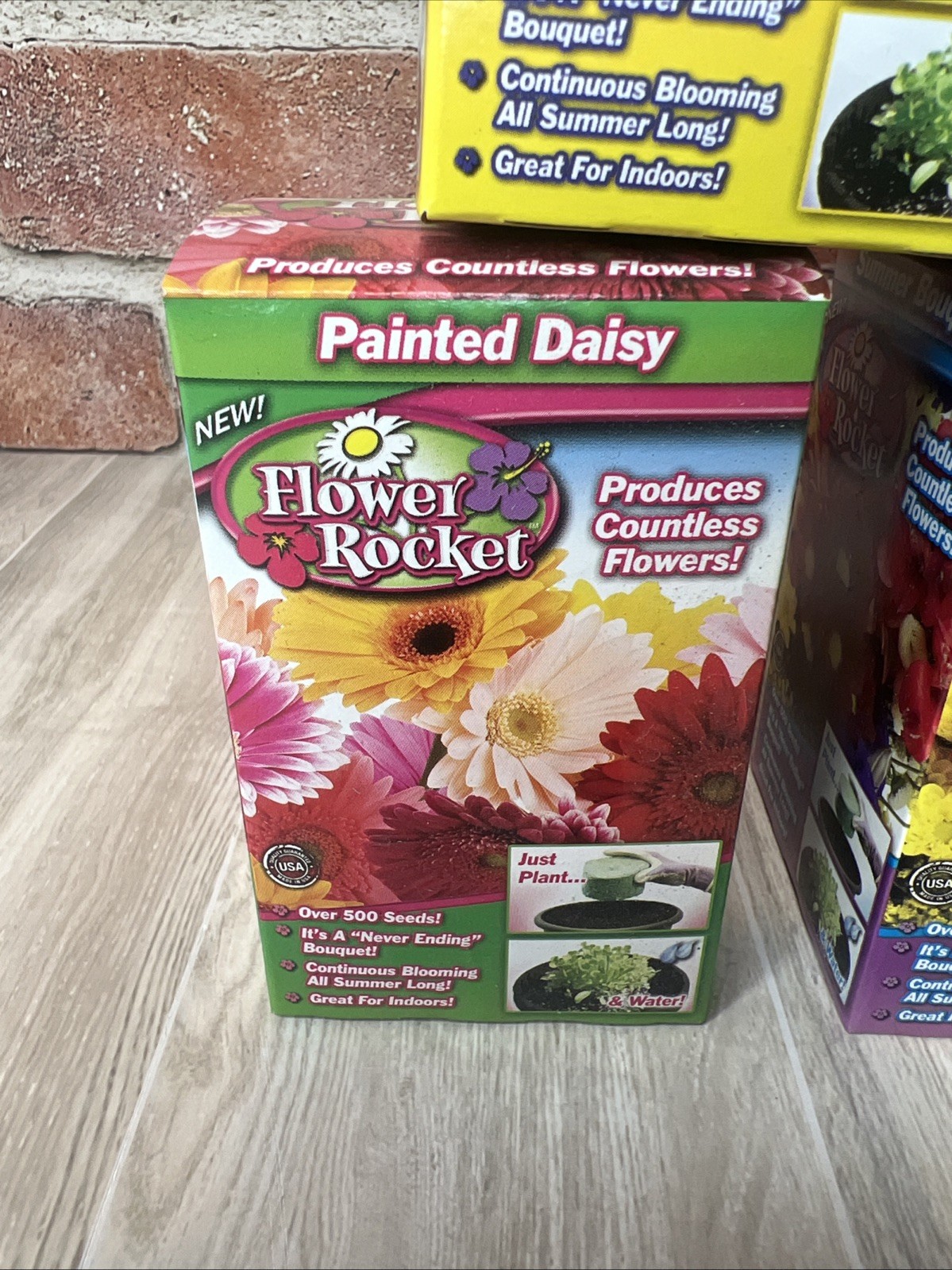 (6) Flower Rocket Over 500 Seeds *** AS SEEN ON TV *** Different Flowers – 🌺