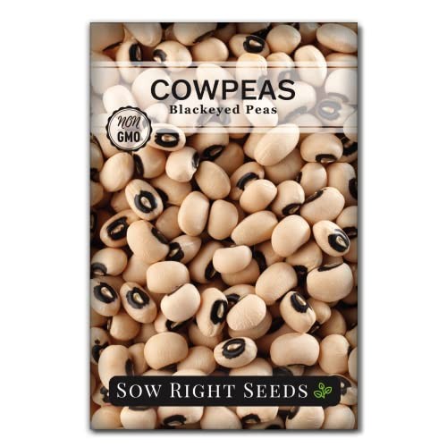 – Black Eyed Cowpea Seeds for Planting – Non-GMO Heirloom 1 Standard Packet