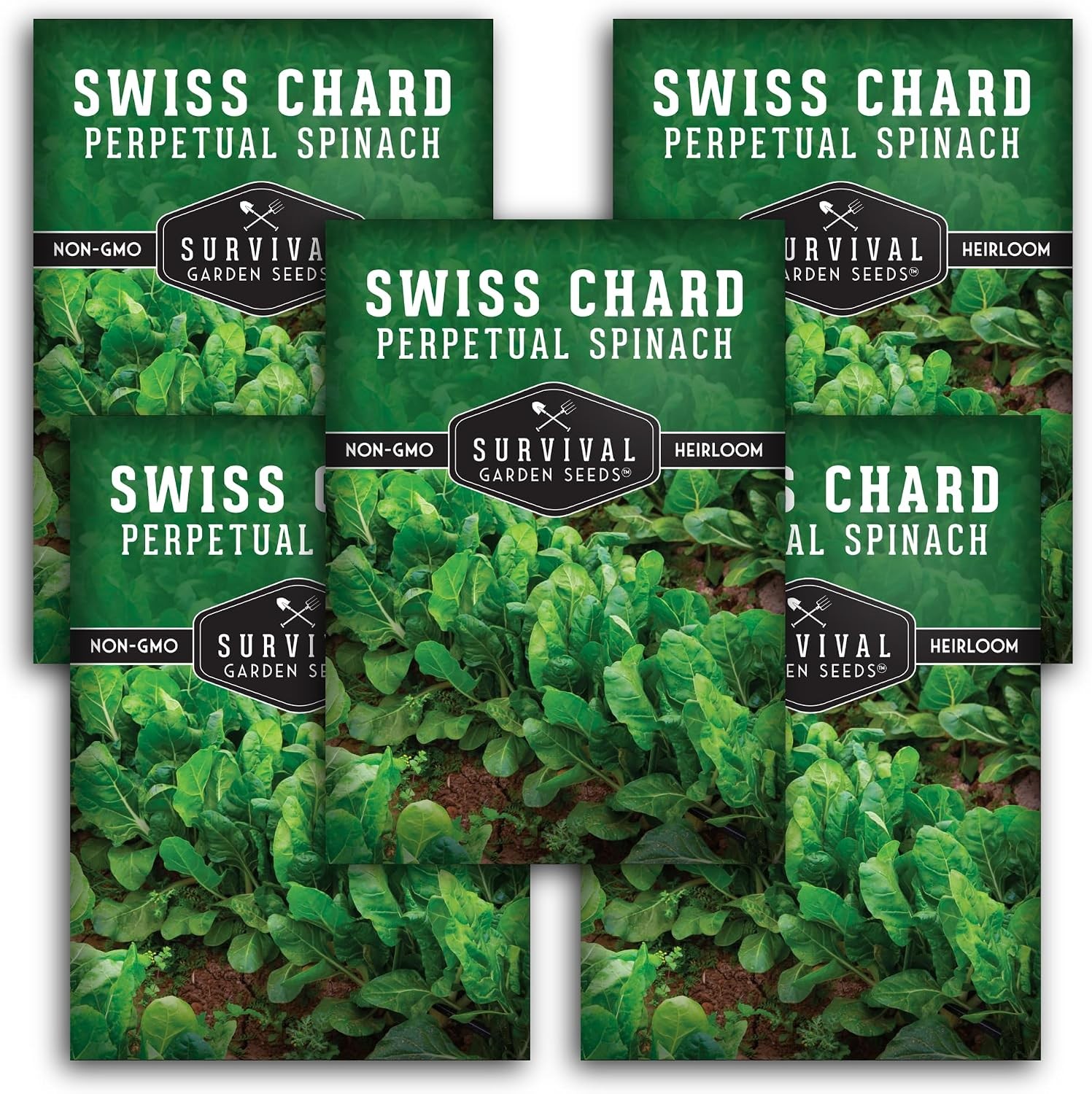 Perpetual Spinach Seeds for Planting – 5 Pack Swiss Chard Variety with Flavor