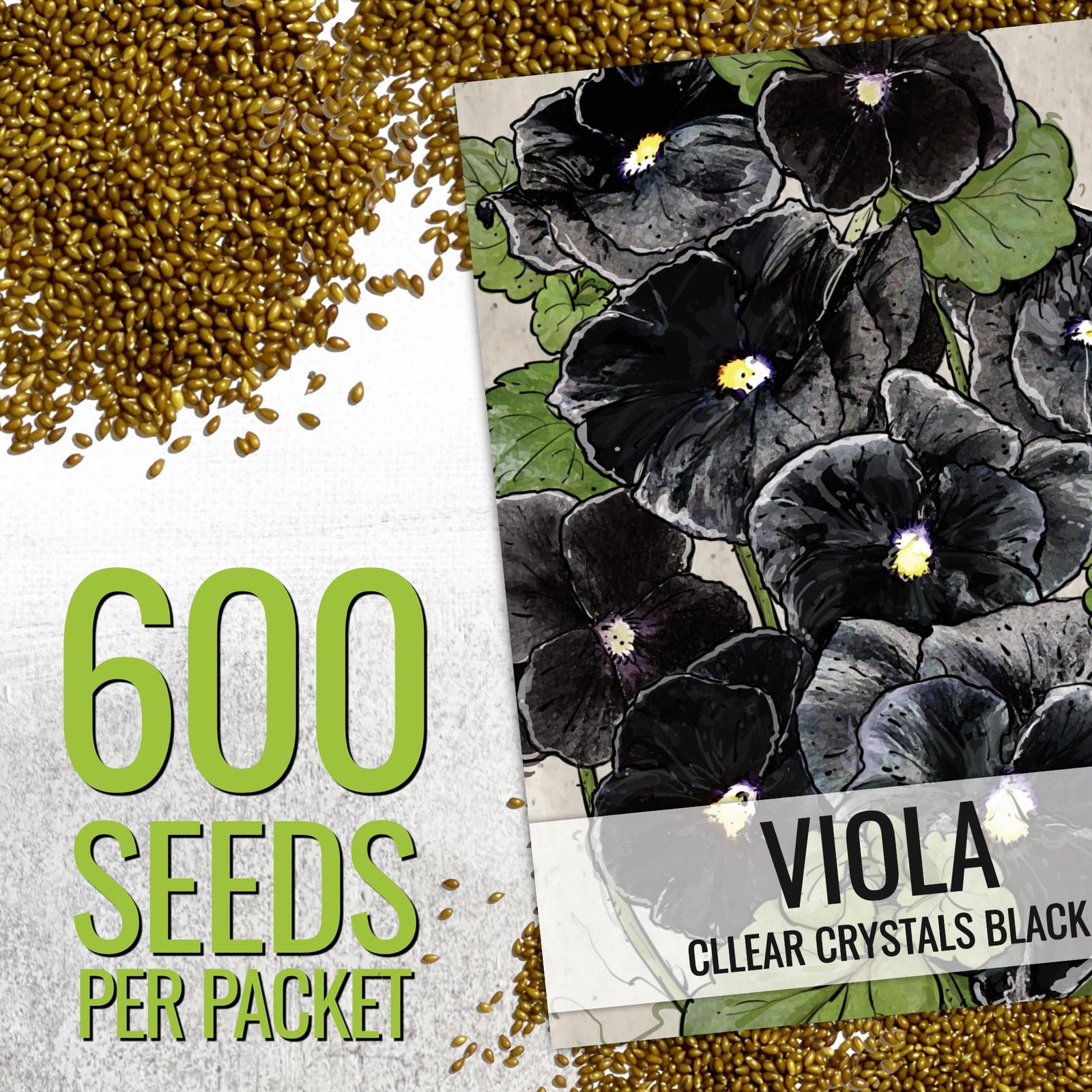 , Clear Crystals Black Pansy Seeds – 600 Heirloom Seeds for Planting Viola x …