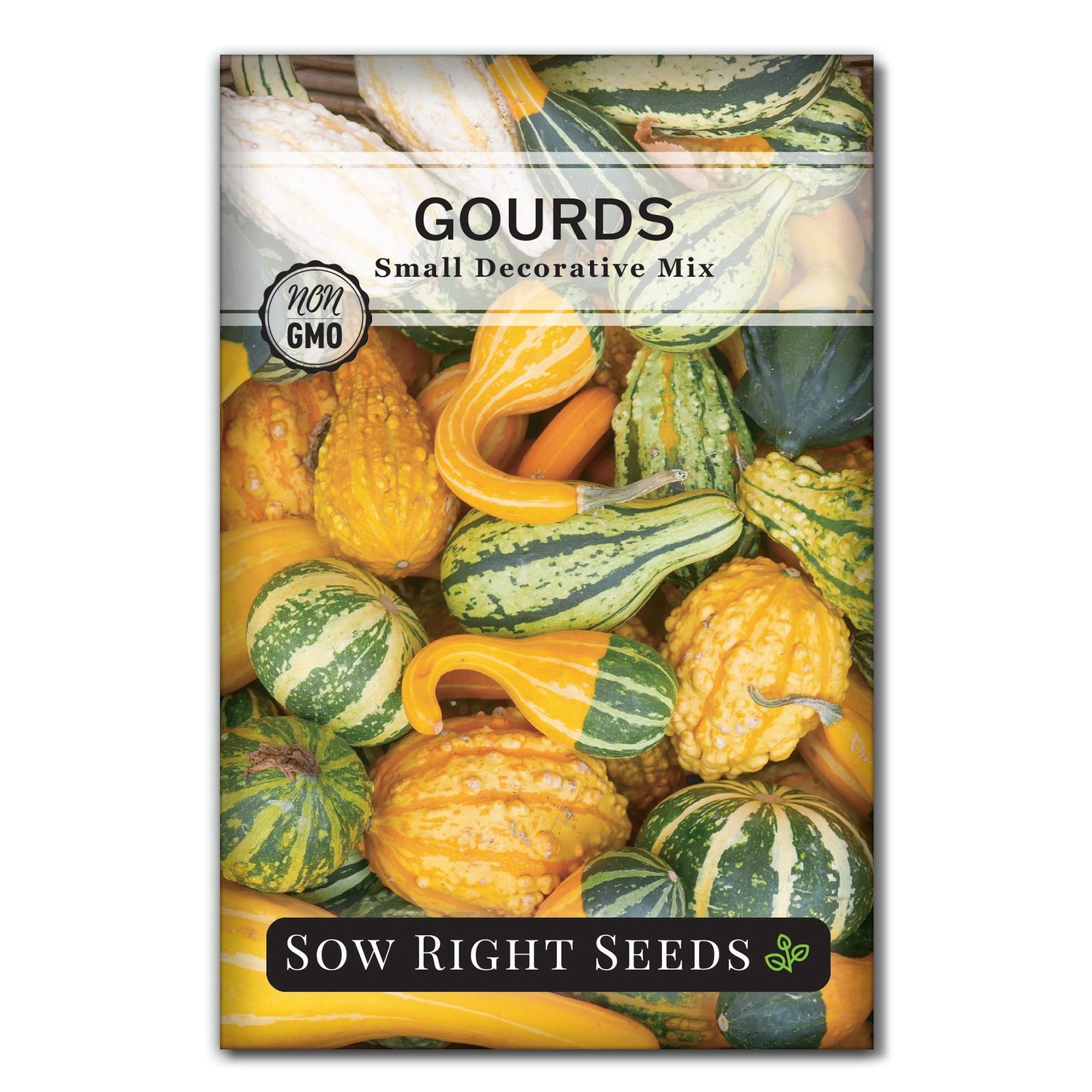 Decorative Gourd Seeds Small Mix Planting Packet NonGMO Heirloom Outdoor Garden