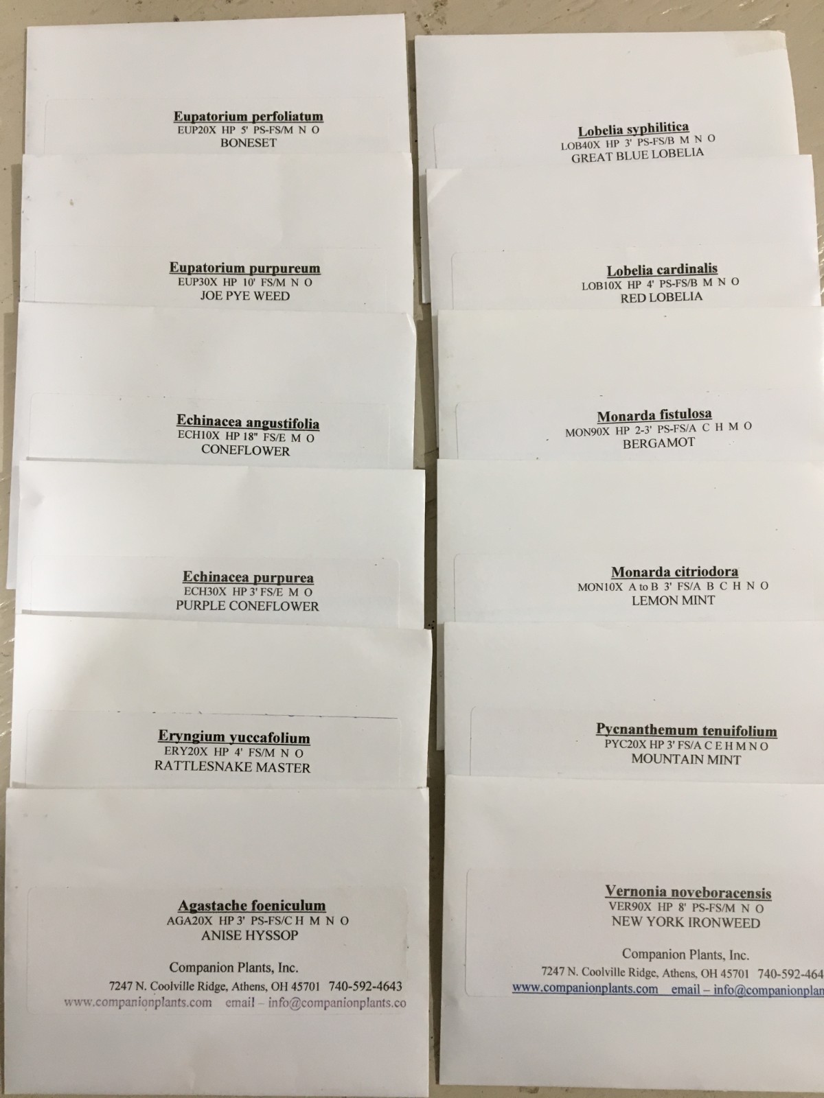 NATIVE POLLINATOR SEED COLLECTION 14 Different Species 14 Packets of seeds 