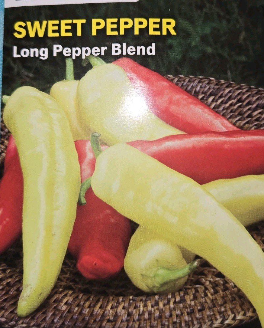 50 Seeds Long Pepper Blend Sweet Pepper NON-GMO Pepper Seeds Heirloom Seeds