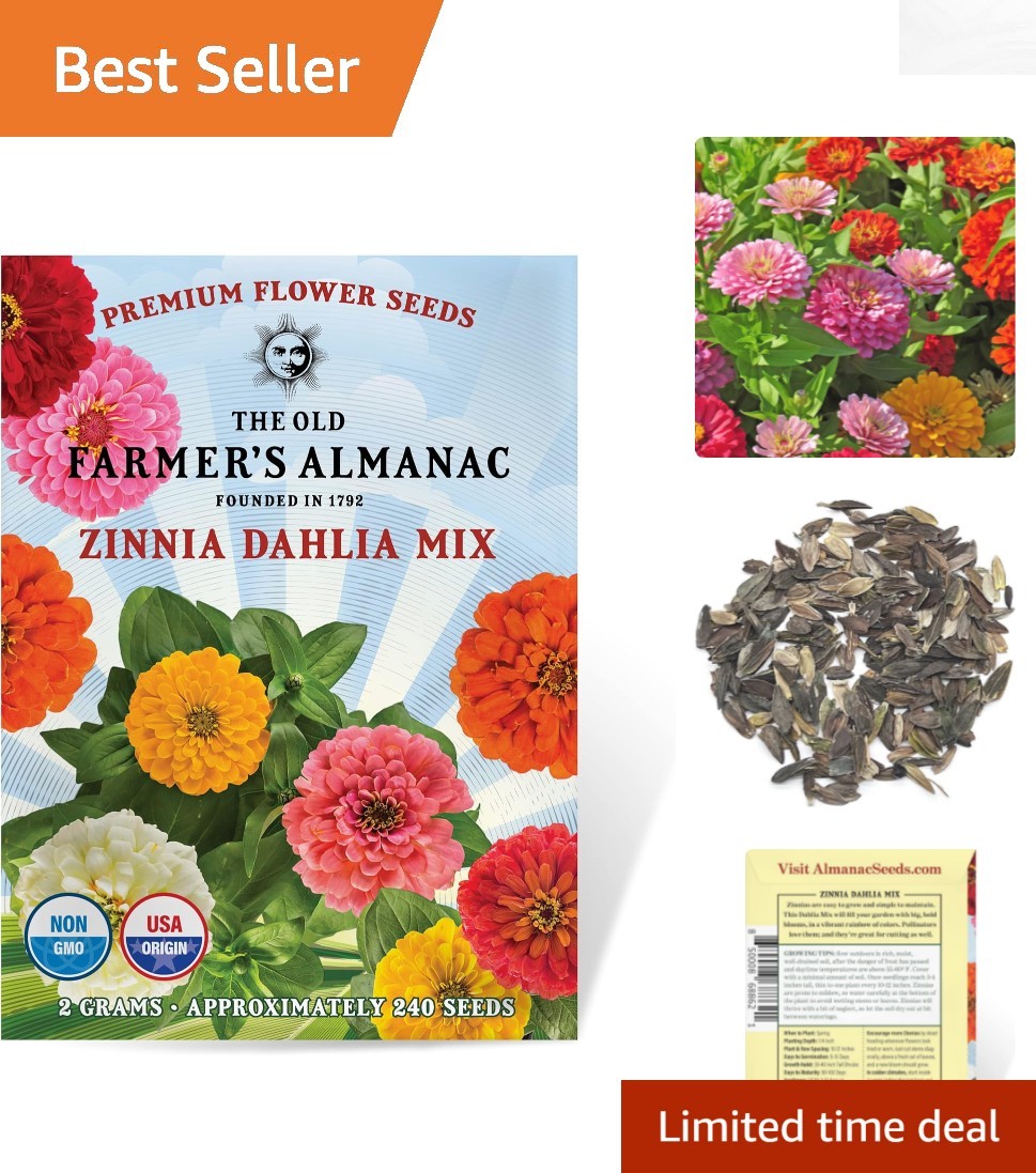 200 Non-GMO Zinnia Seeds Dahlia Mix – Vibrant, Pollinator-Friendly Blooms!