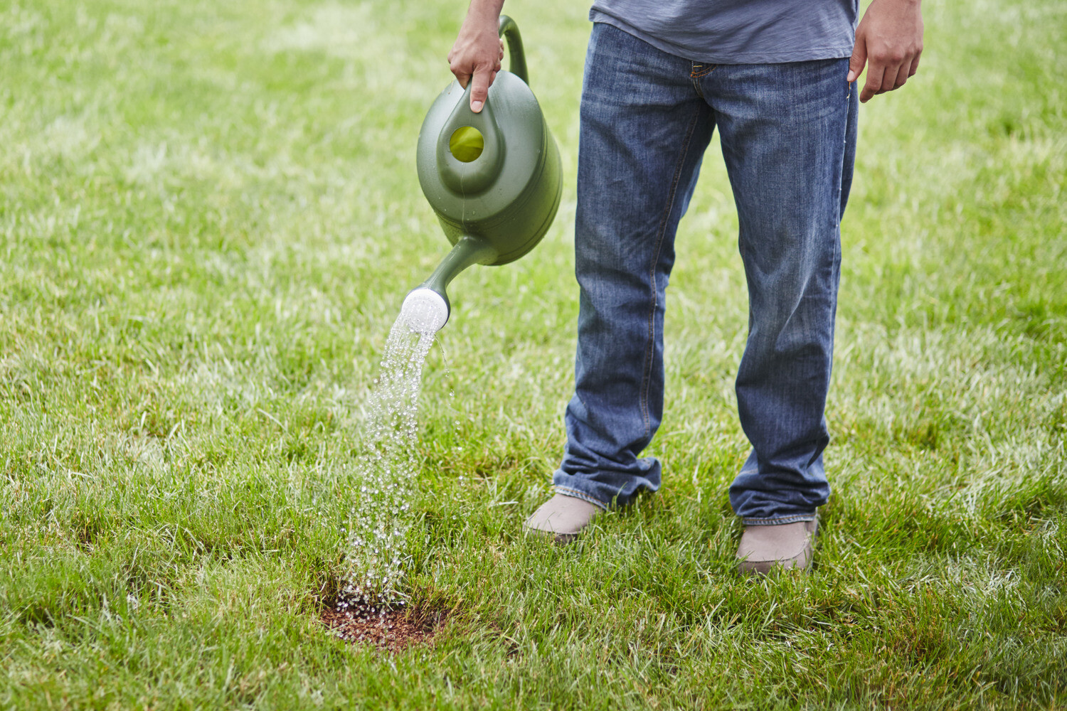Scotts EZ Seed Patch & Repair Tall Fescue Lawns 20 lbs.