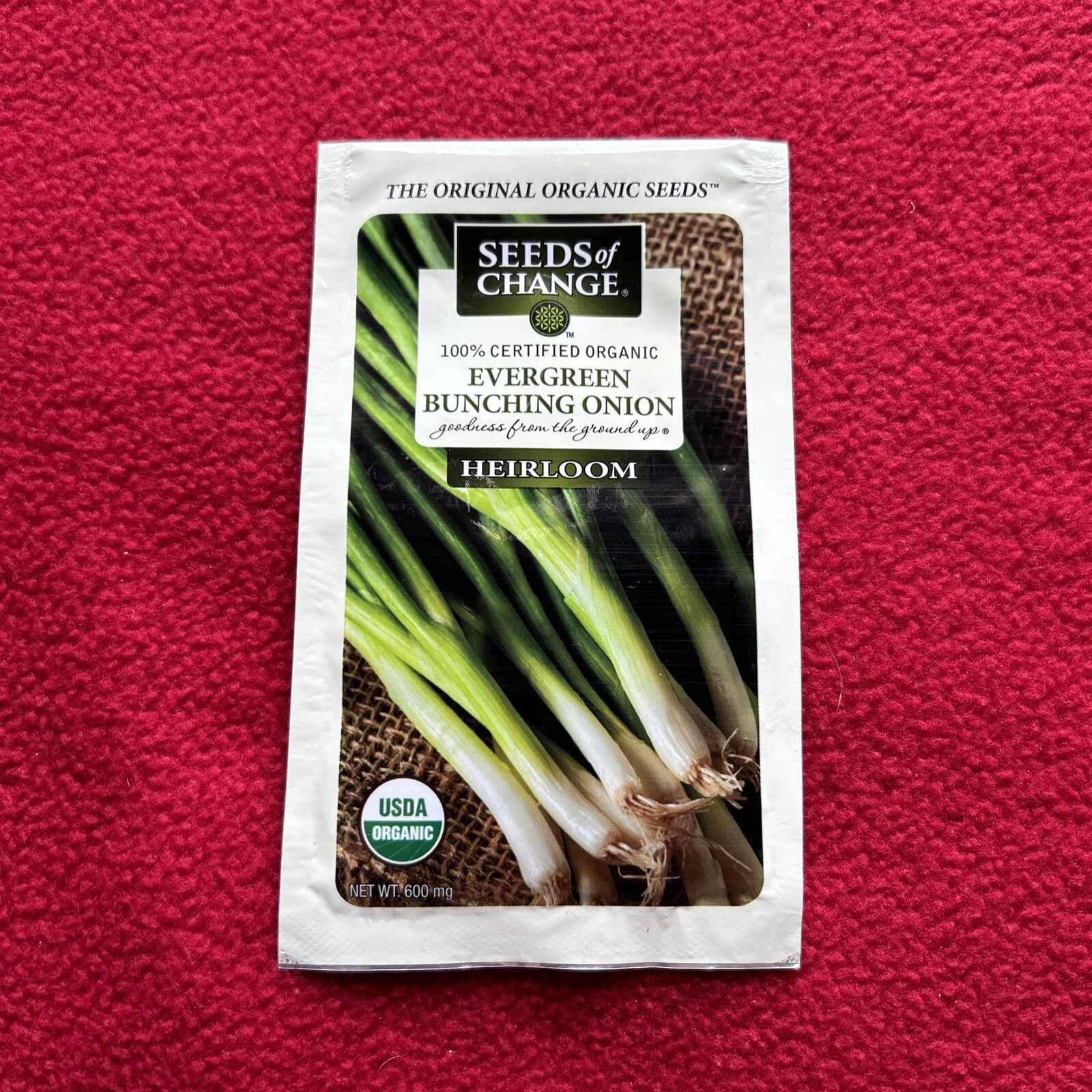 Seeds of Change Heirloom USDA Organic Evergreen Bunching Onion Garden Vegetable