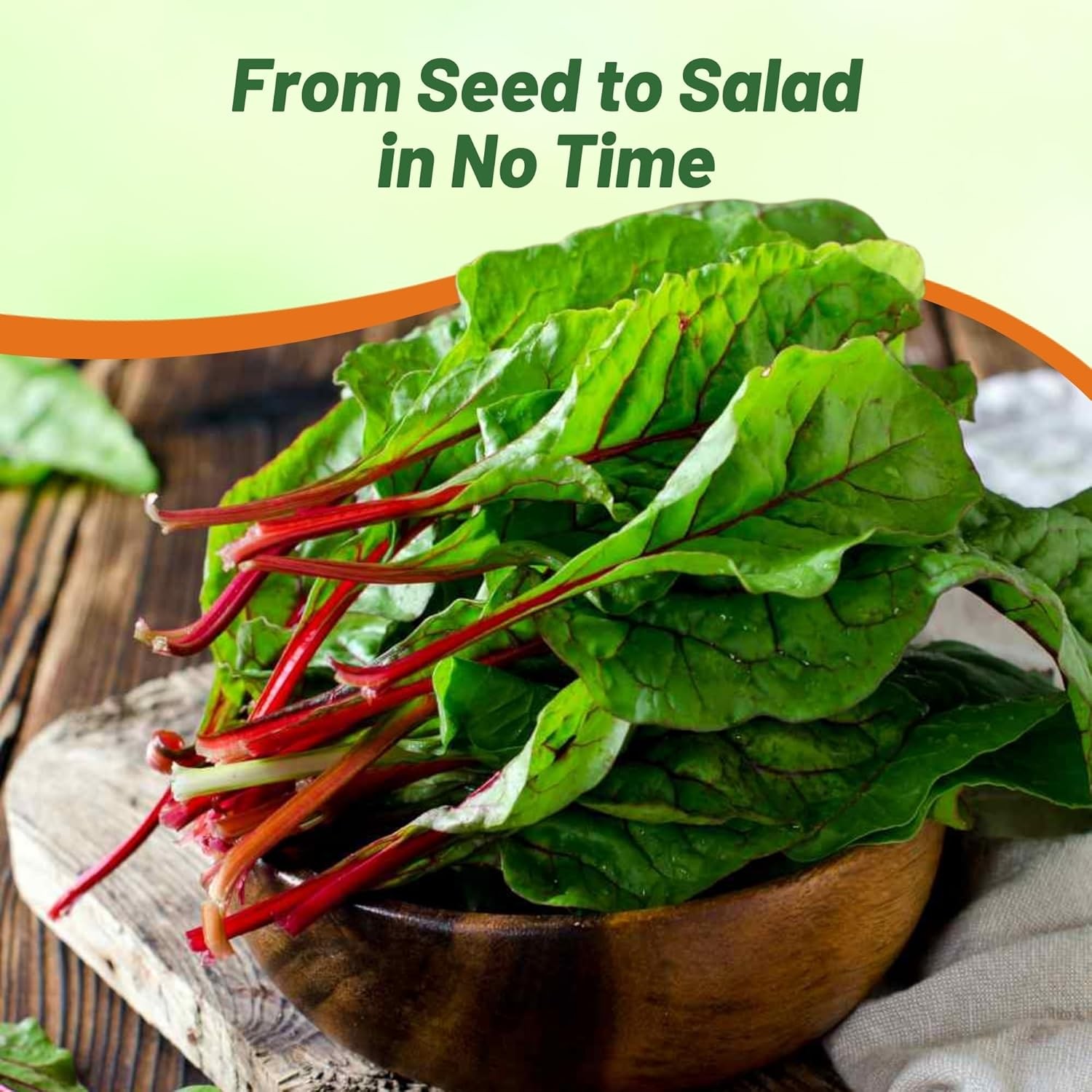 2000 Seeds Swiss Chard Seed – Swiss Chard Ruby Red Herb Seeds