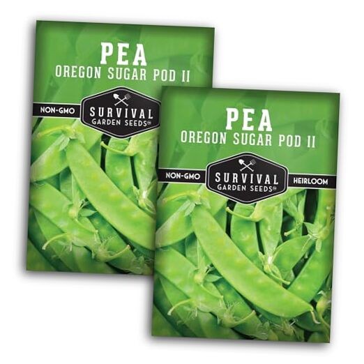 Oregon Sugar Pod II Snow Pea Seeds for Planting – Crisp Edible Pods, High 2