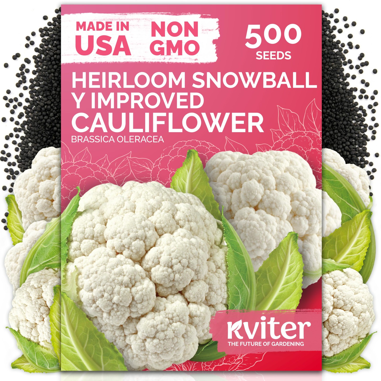 KVITER 500 Snowball Y Improved Cauliflower Seeds (Brassica Oleracea)