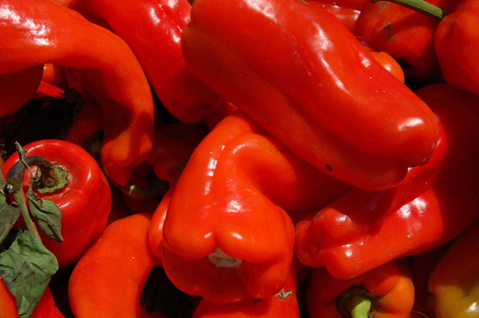 75 CUBANELLE PEPPER (Italian Sweets Banana Italian Frying Capsicum Veggie Seeds