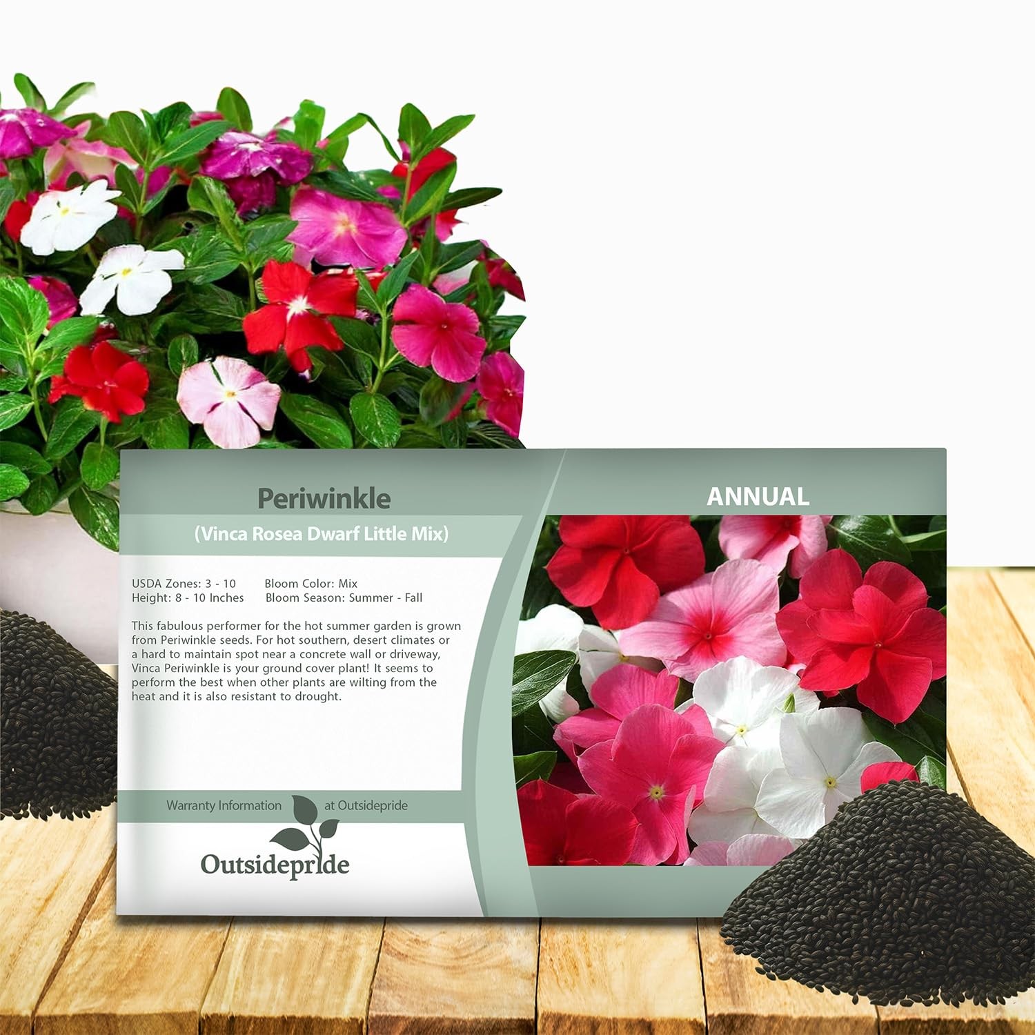 4000 Seeds Annual Vinca Periwinkle Ground Cover & Flower Seed Mix for Planting