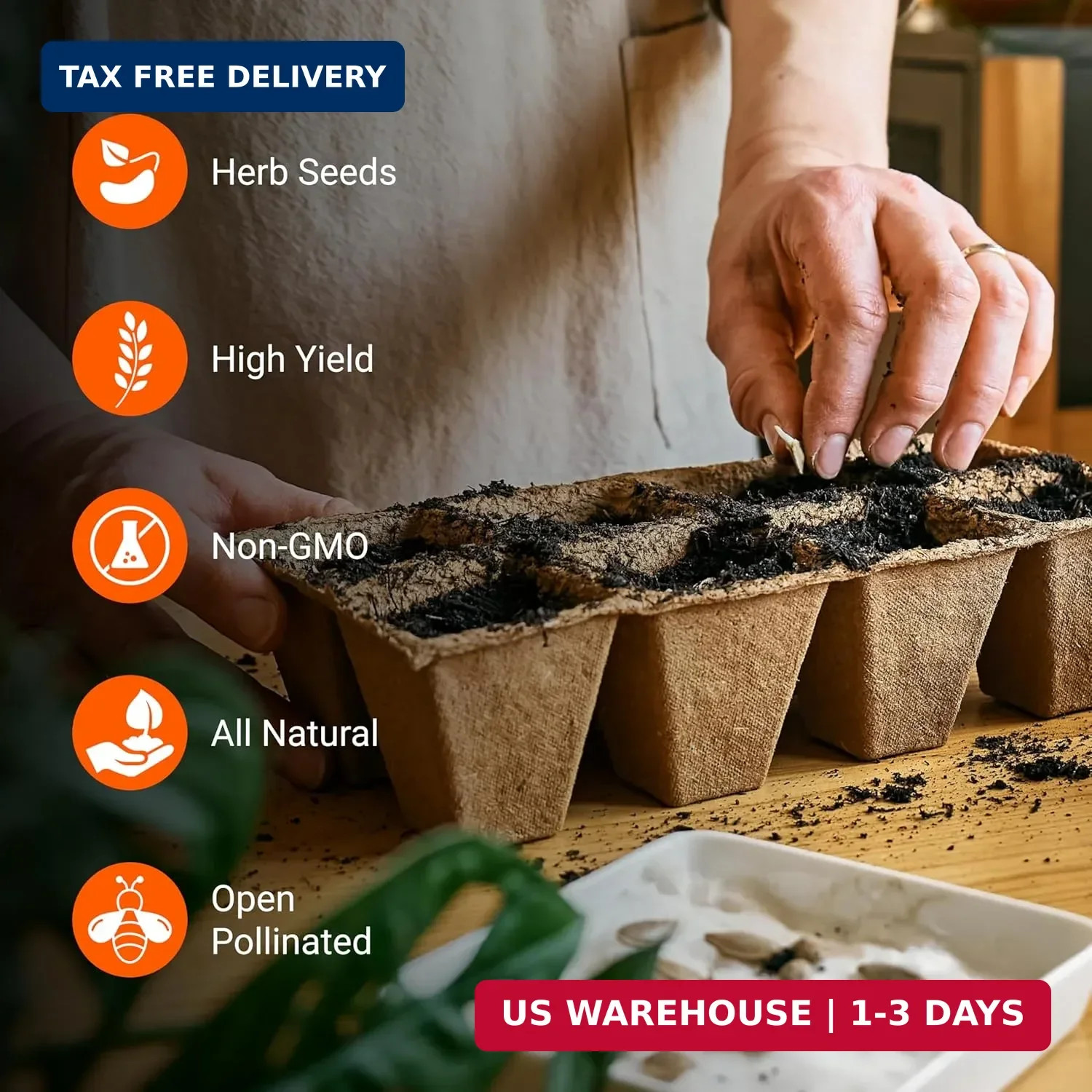 Open Seed Vault | 4,000 Heirloom Seeds | 12 Variety Pack of Herb Seeds | 2026 Se